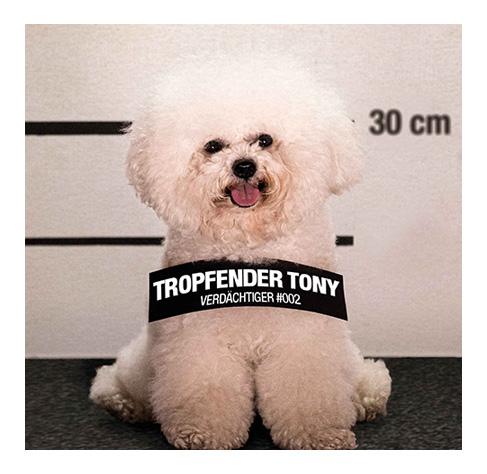 Anzeichen für das CushingSyndrom erkennen